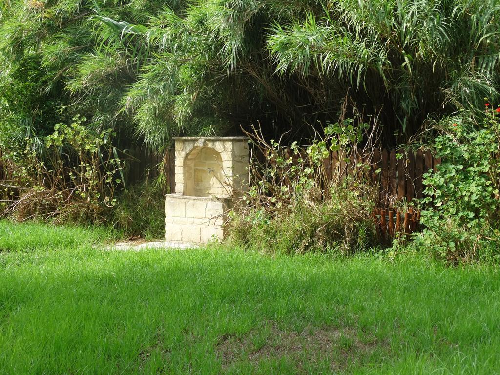 Palm Tree Oriental House And Homestay Polis エクステリア 写真