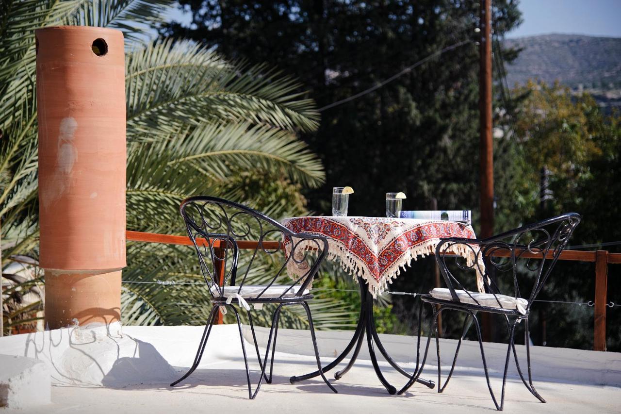 Palm Tree Oriental House And Homestay Polis エクステリア 写真